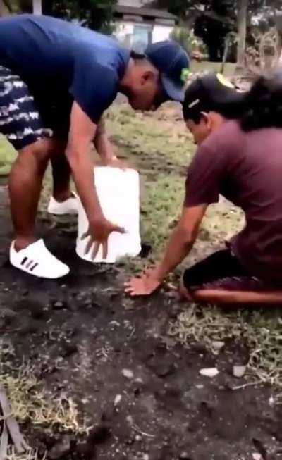 lightning reflex mode