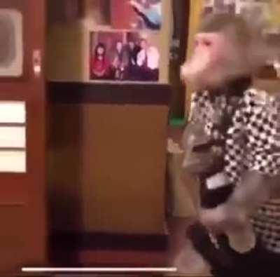 Probably the best video I've ever seen