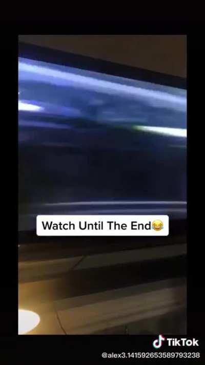 Shouldn't waste those plastic bags