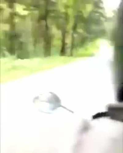 Riding with cat in India