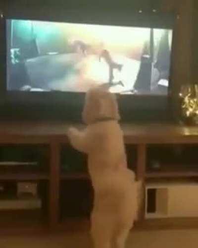 Look I can jump too!