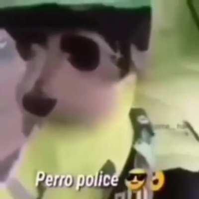 Perro police 🥶🥶