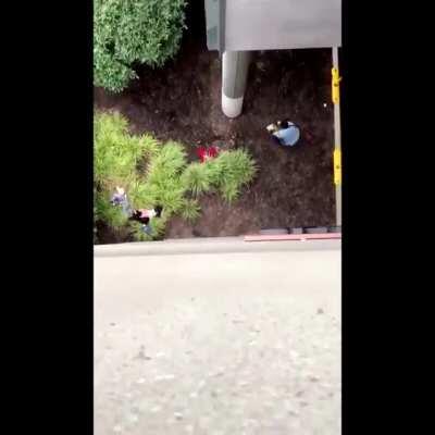 WCGW stealing from forever 21