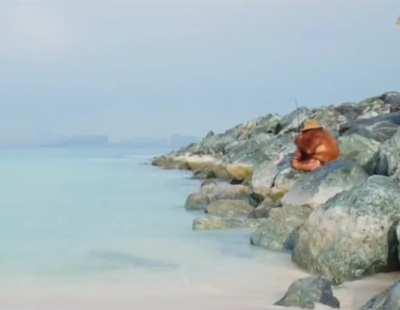 Day 3 of Monke fishing