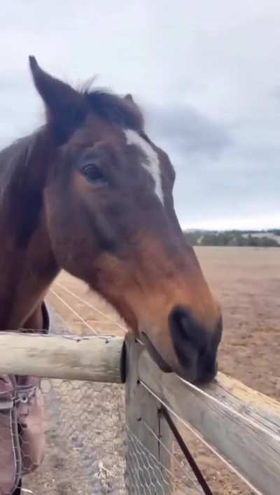 Saw this video and HAD to meme it 😭