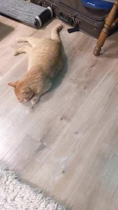 the braincell is depleted