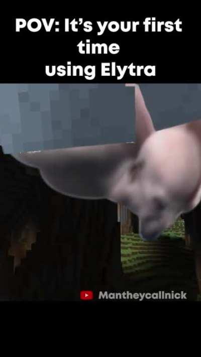 I still can’t get the hang of flying elytra 😂