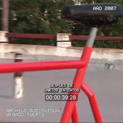 Another piñón y corona de gloria