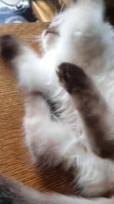 It is so frustrating when the feet do not cooperate!