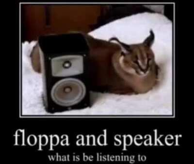 War crimes lesssgooo