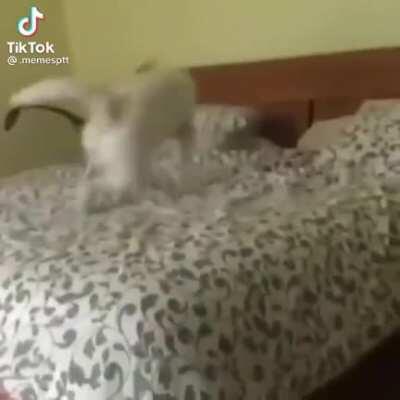 Que cama confortável, seria uma pena se...