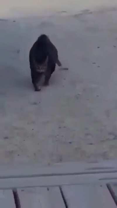 When someone says food