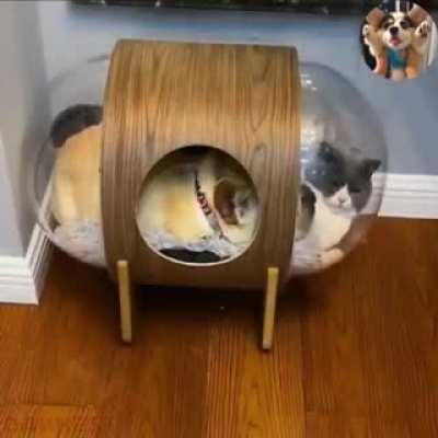 How the hell do I get out of here?