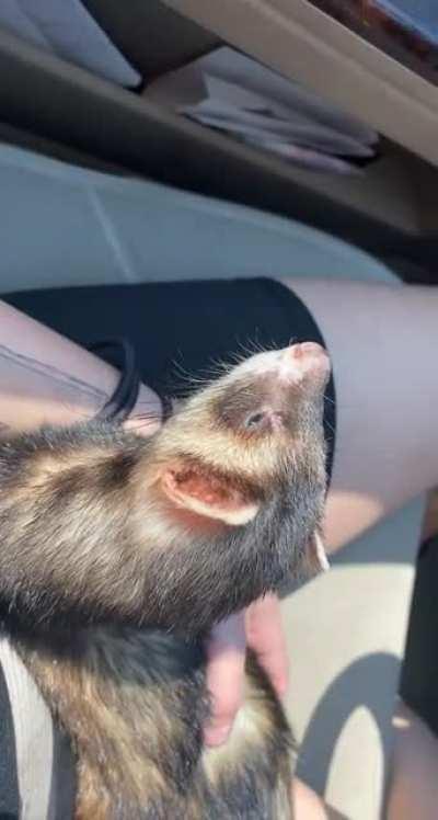 Excuse me wtf did you say?