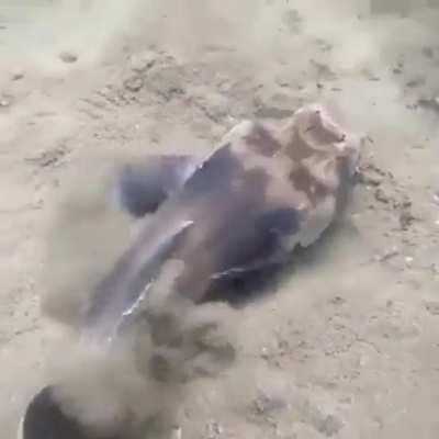 🔥 Best disappearing act ever.