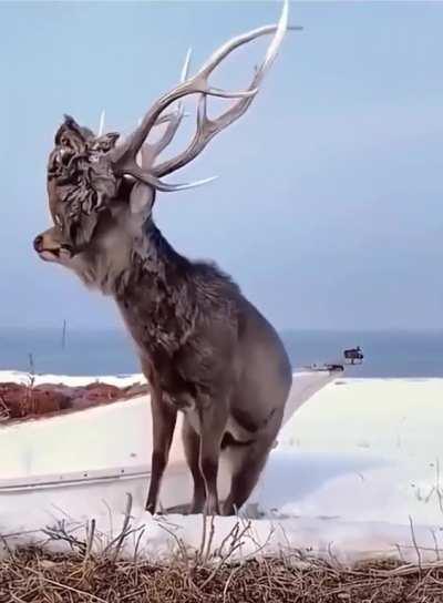 To not lose the head in a fight