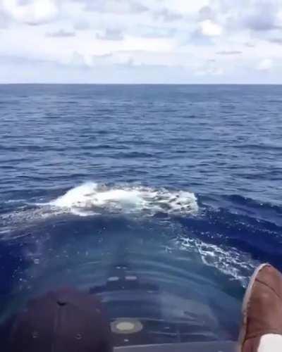 Technically sub related ;)