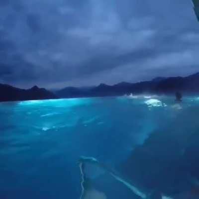 A liquid lair of awe?