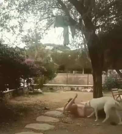 Well... Animals are people too... literally...