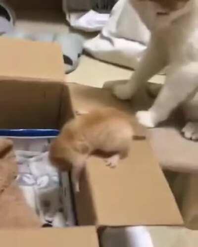 This mother teaching her child some lessons