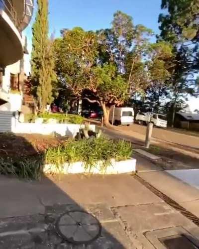 He couldn’t just take the stairs?