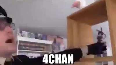 Have you seen the new Love Island?