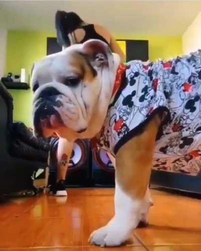 Someone say Jesus send him to save us