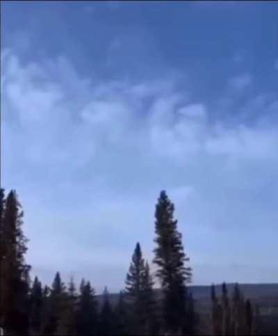 My fellow Ents need me