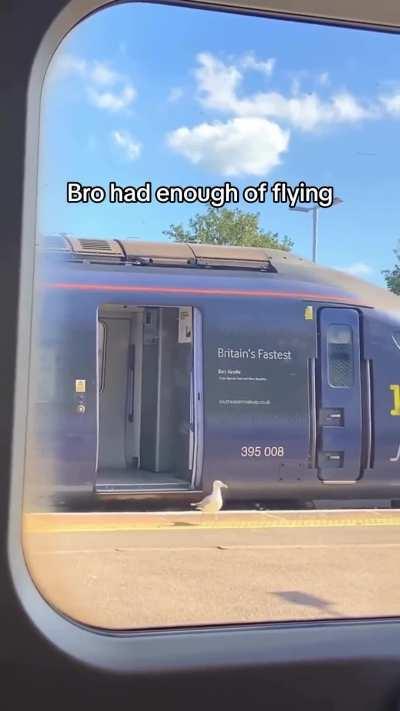 This looks more convenient