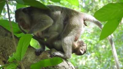 Literally Wait for IT