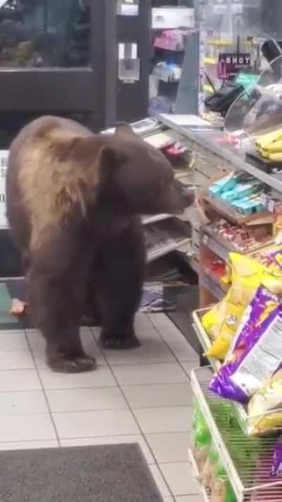 was as gentle as possible 🐻