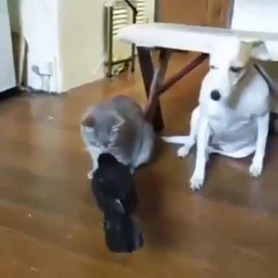 MRW i have to try a new recipe