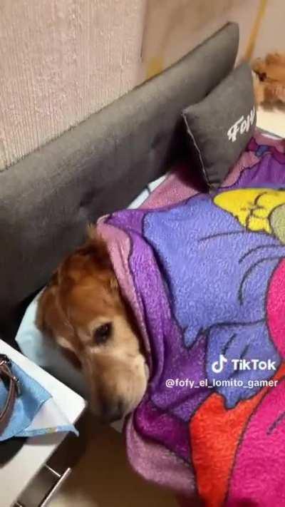 Lo que merece Simón 