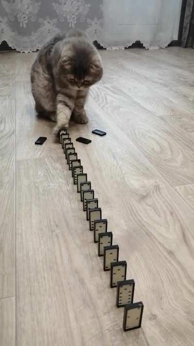 Wha ? how that happen ?