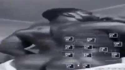 Five Nights at Thug Shakers