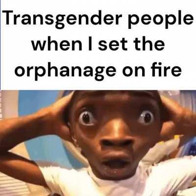 transgender ppl be like