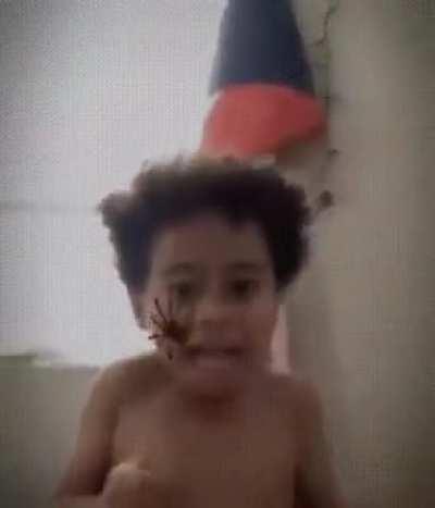 Spider filters are getting out of hands