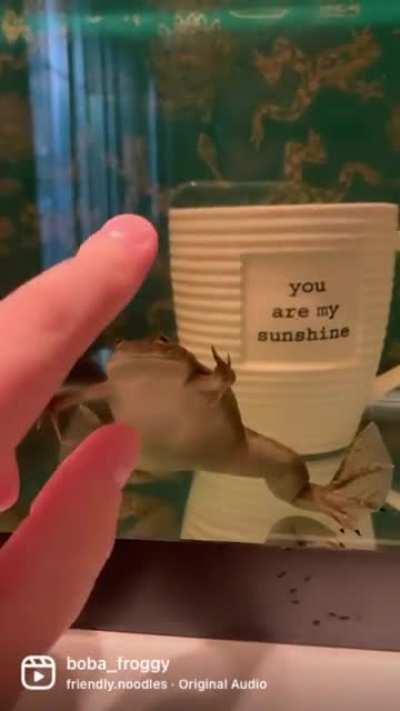 She’s just a menace to society