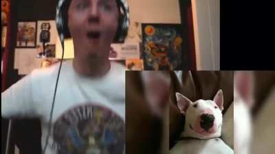 Dawko loses his shit when he sees Walter