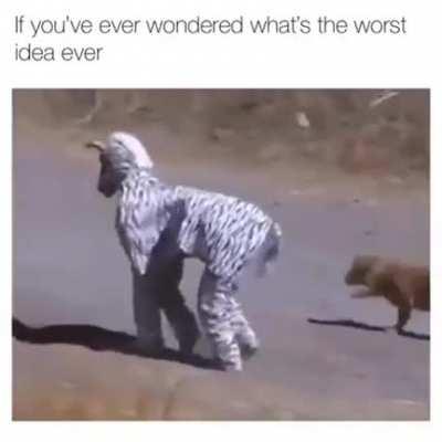 Worst idea in the history of ideas ever