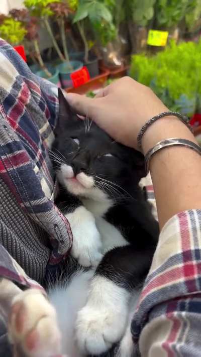 Best feeling ever 🫳🏻😽