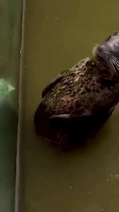 Every time I look in the mirror