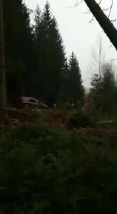 Cutting down a tree destroys the car