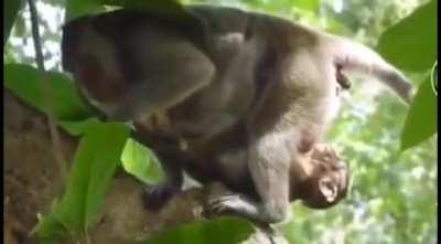 Dirty surprise to son😏