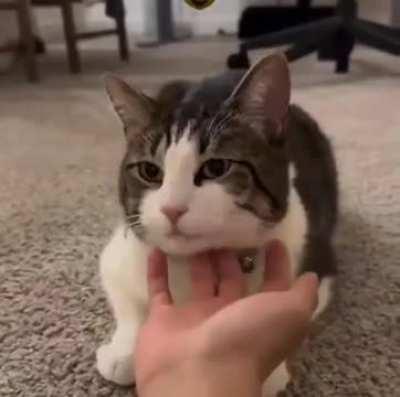 Can't wait to see her