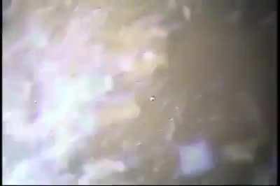 Scary Encounter During a Commercial Dive