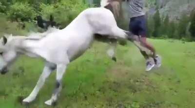 I believe I can flyyyy