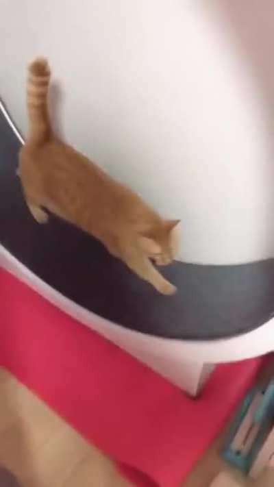 Relatable exercise technique