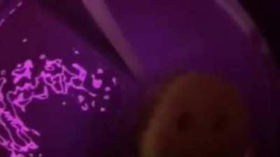 My sibling made this…. thanks, I hate it.