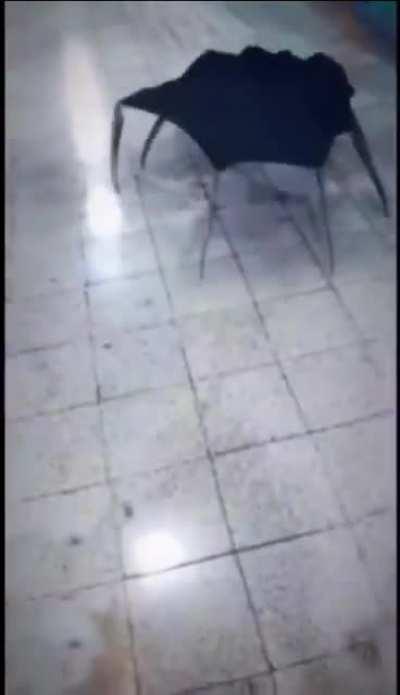 I CHOOSE YOU !! Now go kill them...